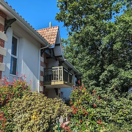 Joli T2 Lumineux De 42 M2 אנדרנוס-לה-באינס